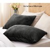 LISM 20x26 Inches Flannel Pillowcases with Zipper,Cozy Fuzzy Velvet Standard Pillow Shams Set of 2 - 3 of 4