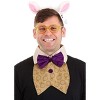 HalloweenCostumes.com    Disney Alice in Wonderland White Rabbit Costume Accessory Kit for Adults and Kids, Purple/White/Yellow - 3 of 4