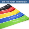 Physical Therapy Rubber Resistance Bands with 5 Levels of Resistance, Durable and Long-Lasting, FSA & HSA Eligible, Includes 5 Bands - 3 of 4