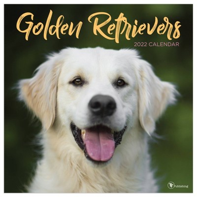 2022 Wall Calendar Golden Retrievers - The Time Factory