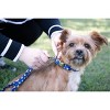 Country Brook Petz Premium Dog Collar - Americana Collection - 2 of 4