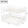 Queen over Queen Bunk Bed with Ladder & Guardrails - ModernLuxe - 4 of 4