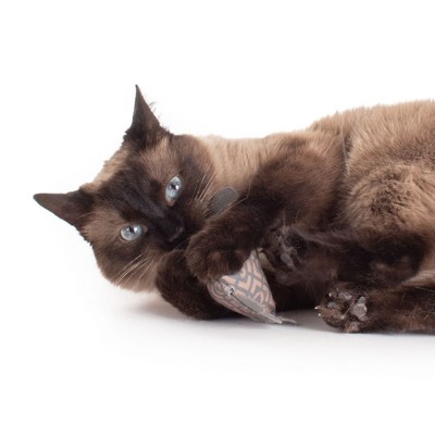 Hauspanther ModShakers Cat Toys by Primetime Petz Playtime Pleasures for Every Furry Friend