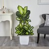 Nearly Natural 46-in Golden Dieffenbachia Artificial Plant in White Metal Planter - 3 of 4
