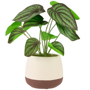 Northlight Artificial Peperomia Plant in Two-Tone Ceramic Pot - 10.25" - 1 of 4