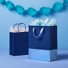 13.74"x10.01"x0.87" Navy and Blue Large Gift Bag with Tissue - Spritz™ - 2 of 3