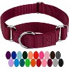 Country Brook Design Martingale Heavyduty Nylon Dog Collar - 4 of 4