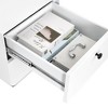 Grungis Modern Nightstand with 2 Drawers,Steel Storage Cabinet with Circular Handle for Living Room Bedroom - 4 of 4