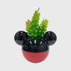 Disney 2pc Indoor/Outdoor Ceramic Mickey & Minnie Mouse Classic Succulent Set: Novelty Garden Accessories, No Drainage - 2 of 4