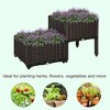 2-Piece Raised Garden Bed with Legs, Self-Watering Planter Box Raised Bed to Grow Flowers, Herbs & Vegetables - 4 of 4