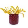 Dolonm Set of 3 Ceramic Planter Set with Drainage - Frost Resistant Planter for Outdoor Use - 4 of 4