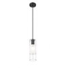 Z-Lite Alton 1 - Light Pendant in  Matte Black - 3 of 4