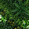 Nearly Natural 20-in x 40-in UV Resistant Hawaiian Islands Artificial Living Wall Art Panel in Light Wood-Like Frame (Indoor/Outdoor) - 3 of 4