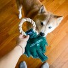 Pavilion Gift Company - Coconuts - 10" Canvas Dog Toy on Rope - Pet Toy - 2 of 4