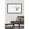 Trends International The Comedy Wildlife Photography Awards: Angela Bohlke - Diving Fox Framed Wall Poster Prints - 2 of 4