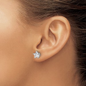 Chisel Stainless Steel Polished 8mm Star Cubic Zirconia Stud Earrings - 1 of 4