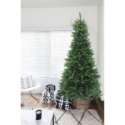 Perfect Holiday 6.5' Lincoln Fir Christmas Tree