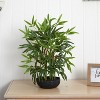 HomeStock  1.6 ft. Artificial Bamboo Tree in Pot for Indoor/Outdoor - 2 of 3