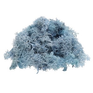 Unique Bargains Decoration Craft Artificial Plants Dried Preserved Reindeer Moss 4 OZ - 1 of 4