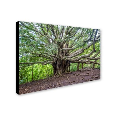 Pierre Leclerc 'Banyan' Canvas Art