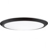 Quoizel Lighting Verge 1 - Light Flush Mount in  Oil Rubbed Bronze - 3 of 3