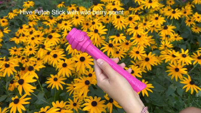 Project Hive Pet Company Wild Berry Fetch Stick Interactive Dog Toy - Pink, 2 of 8, play video