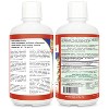 Vital Earth Minerals Fulvic Minerals Liquid, 70+ Trace Minerals, Electrolytes, Fulvic Acid Minerals For Cellular Detox, Wellness, 32 Fl Oz - 2 of 4