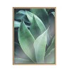 Kate and Laurel Blake Agave II Framed Printed Art by Emiko and Mark Franzen of F2Images, 24x32, Natural - 2 of 4