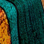 wooden grain