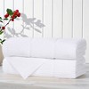 Smart Twist Viscose Cotton Blend Medium Weight Solid Ribbed Towel Set by Blue Nile Mills - 2 of 4