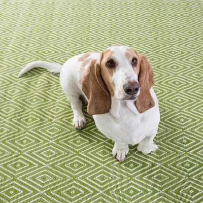 Sprout & White Diamond Handmade Flatwoven 6' x 9' Area Rug