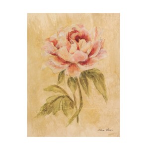 Cheri Blum 'Peony I' Canvas Art - 1 of 4