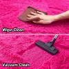 3x5ft Fluffy Area Rugs for Living Room Bedroom, Soft Shag Kids Rug Small Carpet Home Decor - 3 of 4