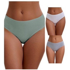 INSPIRE CHIC Plus Size for Women's Cotton Mid-Waisted Briefs Full Coverage Comfortable Underwear 3 Packs - 1 of 4