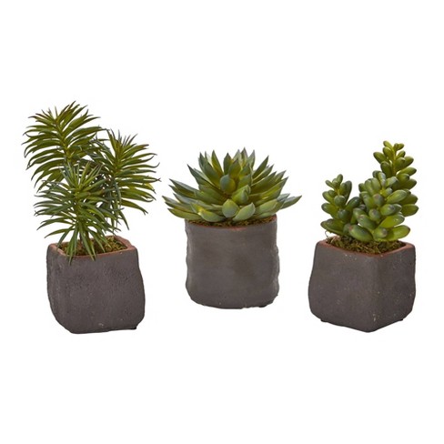 Nearly Natural 8-in Mixed Succulent Trio Artificial Plant (set Of 3 ...