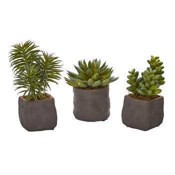 Nearly Natural 8-in Mixed Succulent Trio Artificial Plant (Set of 3)