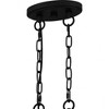Quoizel Lighting Overlook 6 - Light Pendant in  Earth Black - 3 of 4