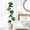 Artificial Fiddle Leaf Fig Tree, Fake Plant with Black Planter, Large Floor Plants for Home or Office Decor, Artificial Plants Indoor - 3 of 4
