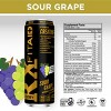 FITAID RX Recovery Blend, Creapure Encapsulated Creatine, BCAAs, B-Complex, Electrolytes, 100% Clean, Sour Grape, 12 Fl Oz. cans (Pack of 12) - 2 of 4