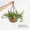 Bloem 12" Dura Cotta Round Resin Self-Watering Hanging Basket Planter with Macrame Cord - 2 of 4