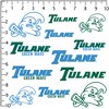 Tulane University Wordmark Miscellaneous 100Ct. Sticker Pack - 2 of 4