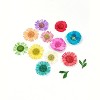 Wrapables Real Dry Flowers Nail Art 3d Flower Nail Decals Nail Manicure with Plastic Case (Set of 12), Daisies - 3 of 4