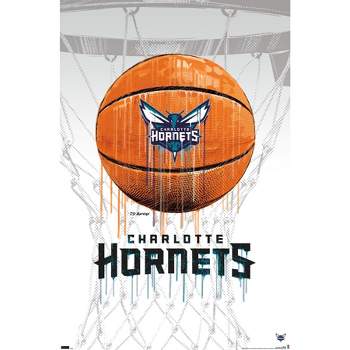 NBA Charlotte Hornets - Logo 20 Wall Poster, 22.375 x 34, Framed 