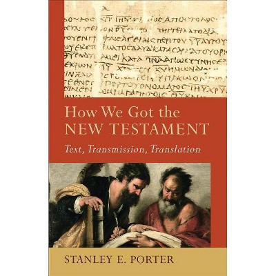 How We Got the New Testament - (Acadia Studies in Bible and Theology) by  Stanley E Porter (Paperback)