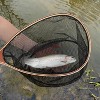 Fly Fishing Net Wooden, Soft Mesh Trout with Handle, Catch and Release Landing for Freshwater and Saltwater for Anglers & Fly Fishing Enthusiasts - 2 of 4