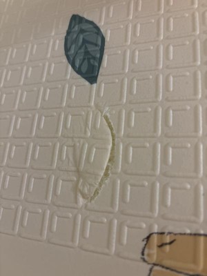 Guest review image 1 of 2, zoom in