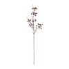 Berry Pod Spray (Set of 6) - 2 of 3