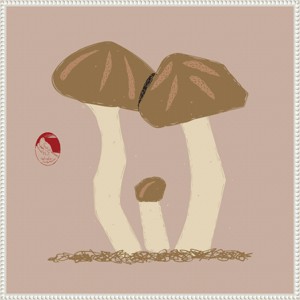 30"x30" Matsutake Mushroom Family by Vision Grasp Art Framed Canvas Wall Art Print White - Amanti Art - 1 of 4