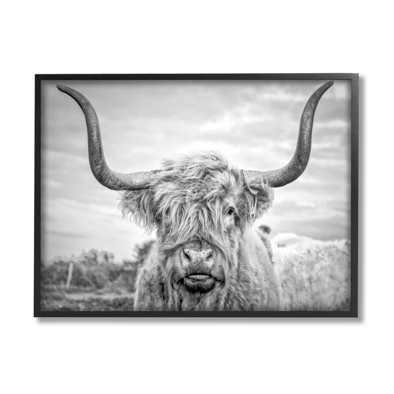 Stupell Industries Black and White Highland Cow Photograph, 1 of 7