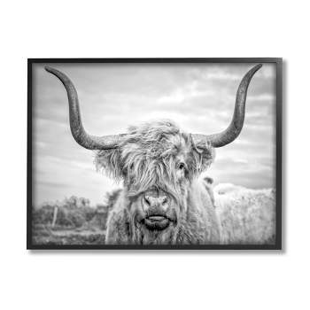 Stupell Industries Black and White Highland Cow Photograph